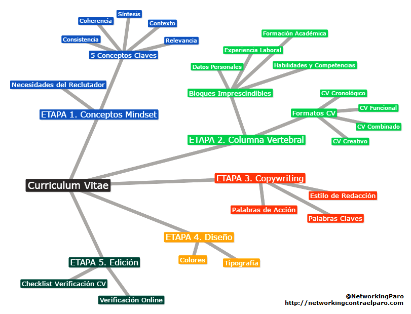 Curriculum vitae sections picture
