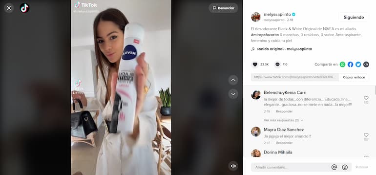 campañas exitosas con influencers