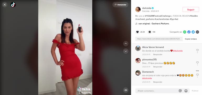 campañas exitosas con influencers